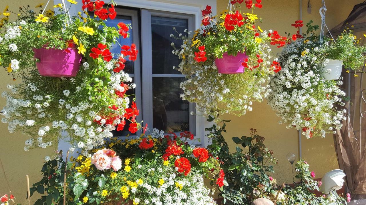 Appartements Della Schiava Bad Kleinkirchheim Eksteriør billede